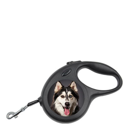 Picture of PET LEASH big