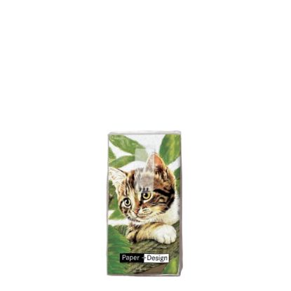 Picture of Handkerchiefs  - Cat