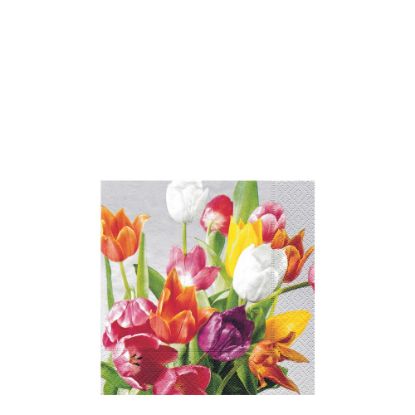 Picture of NAPKIN 25X25 SEL.OF TULI-11407