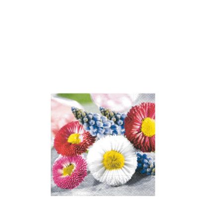 Picture of Napkins 25x25 - Spring Blooms