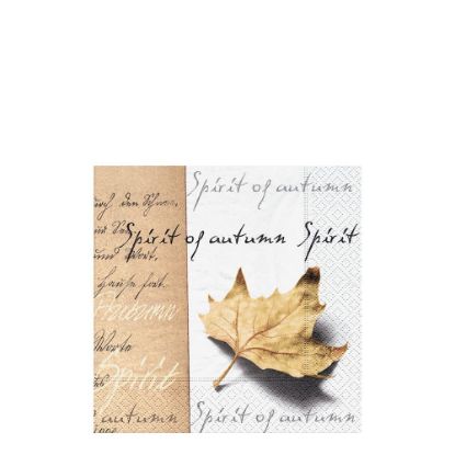 Picture of NAPKIN 33X33 SPIRIT AUTU-20921