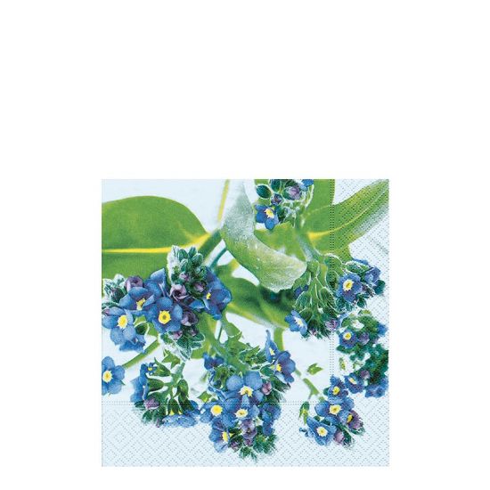 Picture of NAPKIN 33X33-MYOSOTIS DI-21163