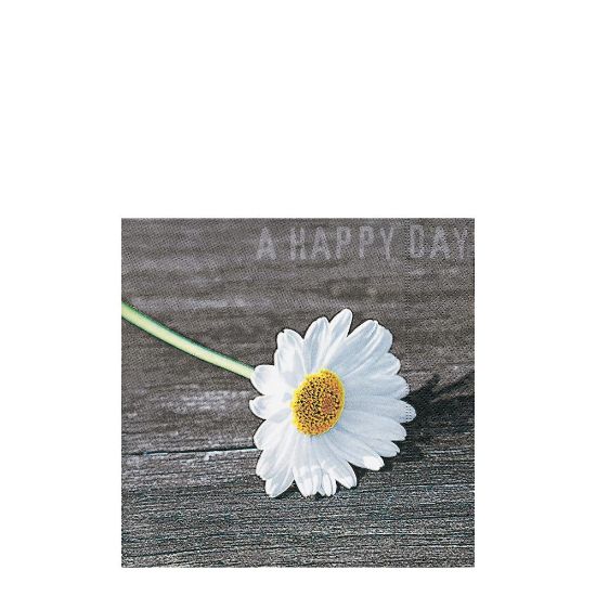 Picture of NAPKIN 33X33 A HAPPY DAY-21326