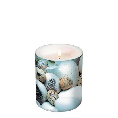 Picture of CANDLE 10.5X12-BIRDS EG-98109