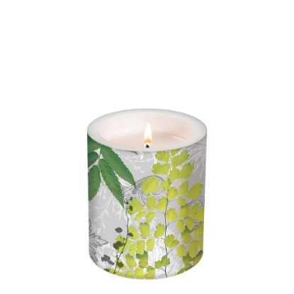Picture of CANDLE 10.5X12-CLASSIC L-98126