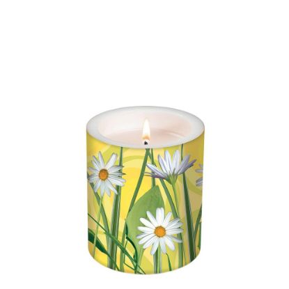 Picture of CANDLE 10.5X12-DAISIES O-98131