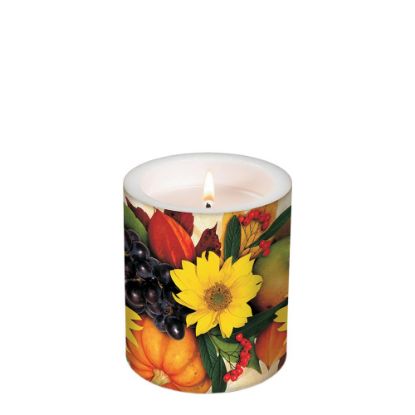 Picture of CANDLE 10.5X12-HERVEST F-98133