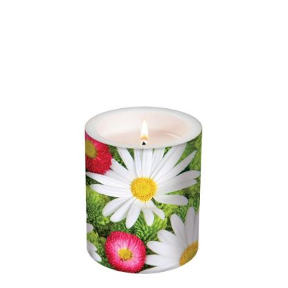 Picture of CANDLE 10.5X12-BELLIES A-98157