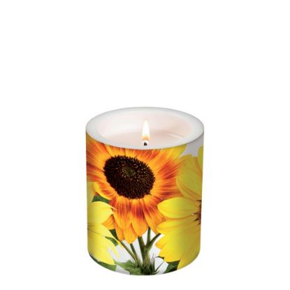 Picture of CANDLE 10.5X12-HELIANTHU-98158