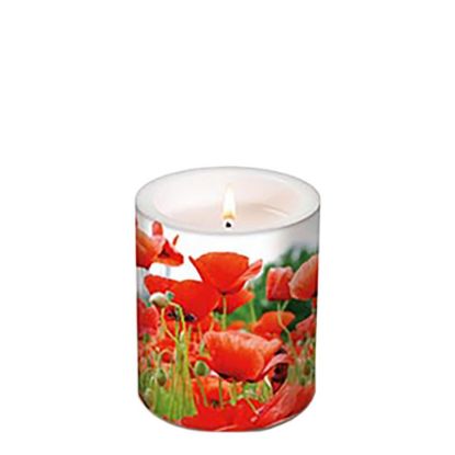Picture of CANDLE 10.5X12-FIELD OF -98188