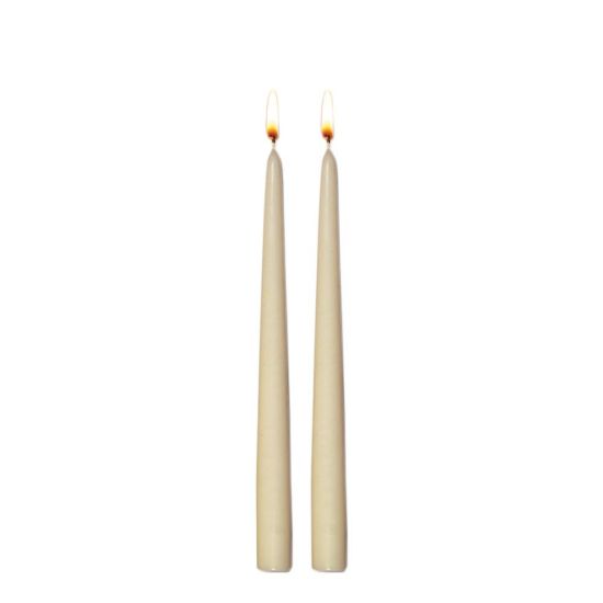 Picture of CANDLE TWIN 24CM-IVORY  -98606