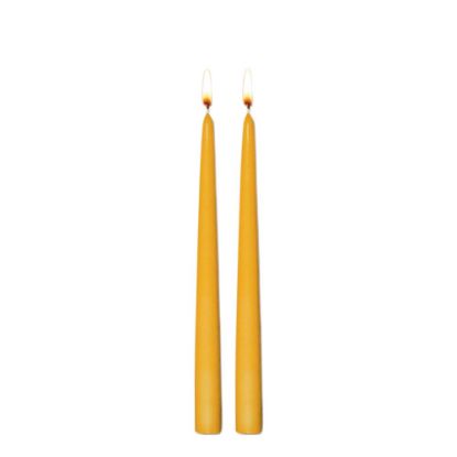 Picture of CANDLE TWIN 24CM-YELLOW -98607