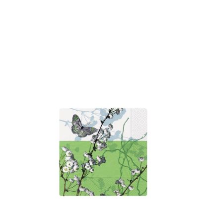 Picture of COASTER- SPRING DECORAT.-02290