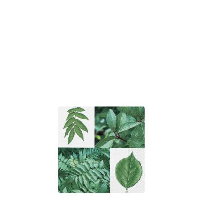 Picture of COASTER- VARIOUS LEAVES -02294