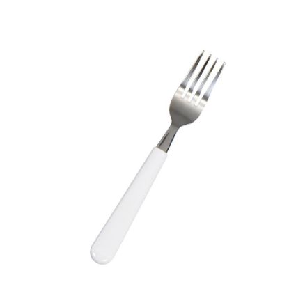 Picture of Adult FORK (18.5x1.5 cm) Stainless Steel with polymer handle