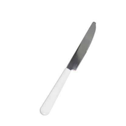 Εικόνα της Adult KNIFE (21x1.9 cm) Stainless Steel with polymer handle